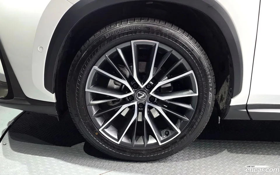 Lexus NX 350h 2024 — миниатюра 2