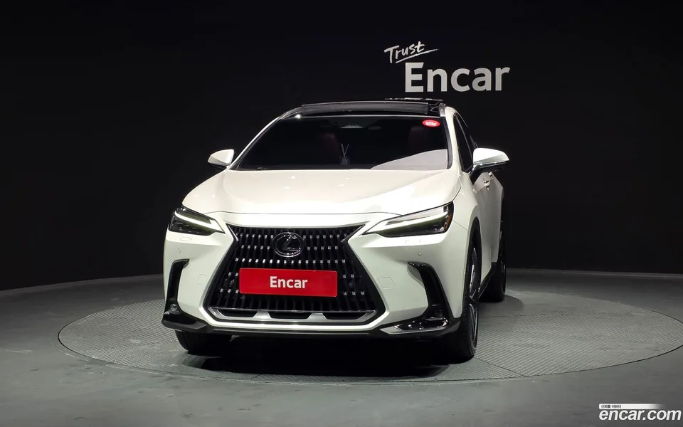Lexus NX 350h 2024 — миниатюра 3