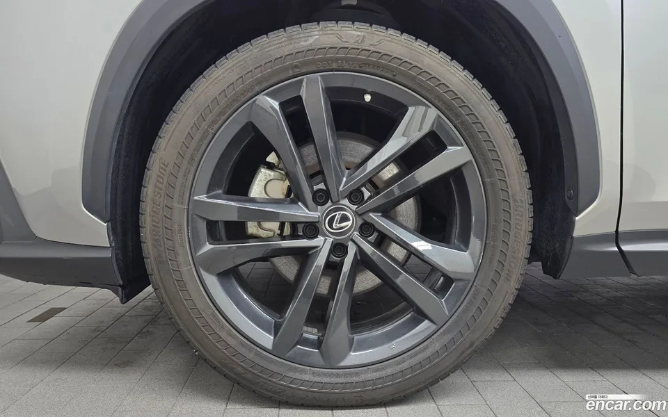Lexus NX 350h 2023 — миниатюра 2