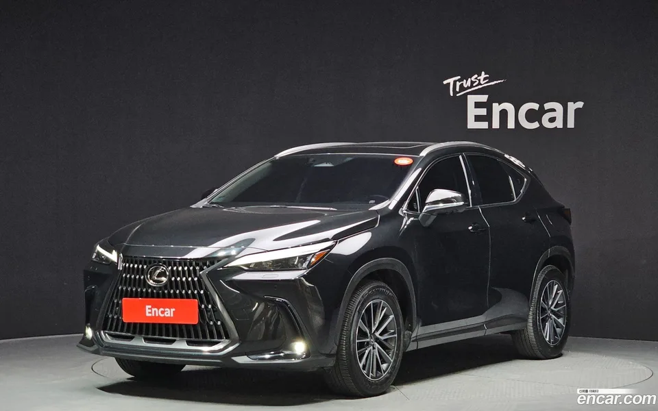 Lexus NX 450h+ 2023 — фото 1, купить с доставкой в Москву