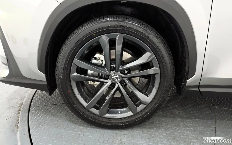 Lexus NX 350h 2024 — миниатюра 2