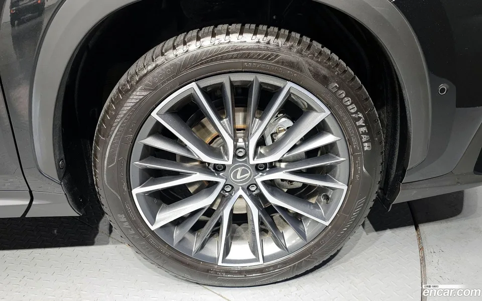 Lexus NX 350h 2024 — миниатюра 2