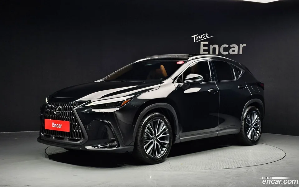 Lexus NX 350h 2024 — фото 1, купить с доставкой в Москву