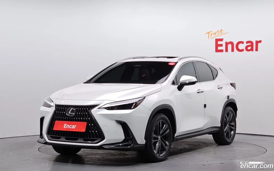 Lexus NX 350h 2024 — фото 1, купить с доставкой в Москву