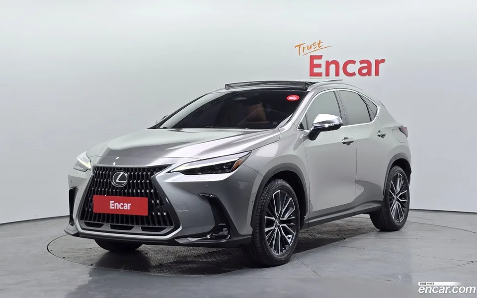 Lexus NX 350h 2023 — фото 1, купить с доставкой в Москву