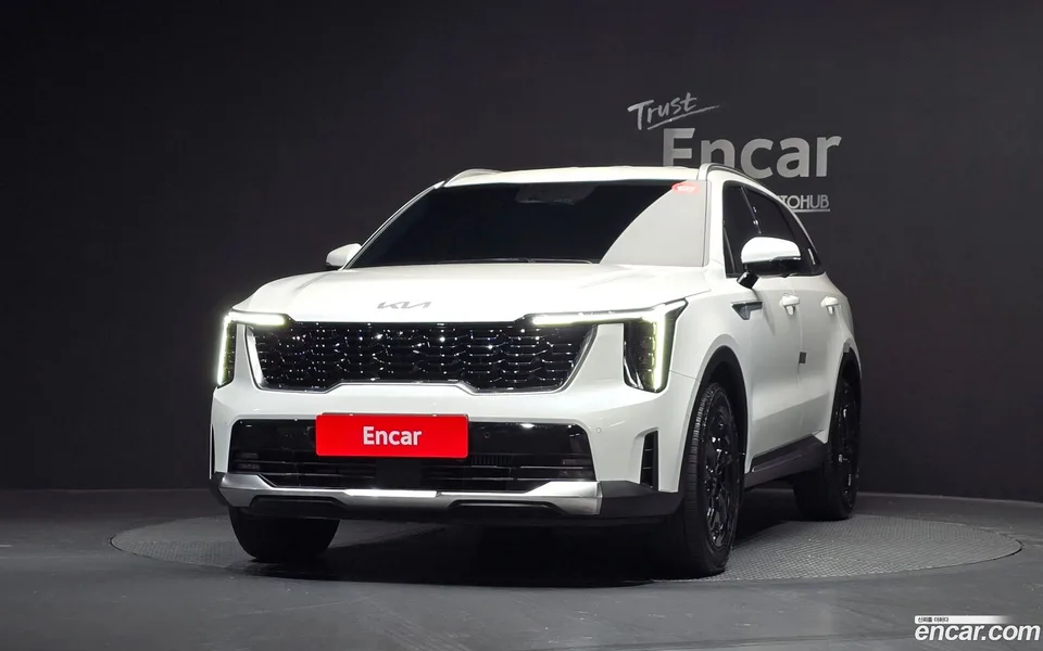 Kia Sorento HEV 1.6 2WD 2024 — миниатюра 3