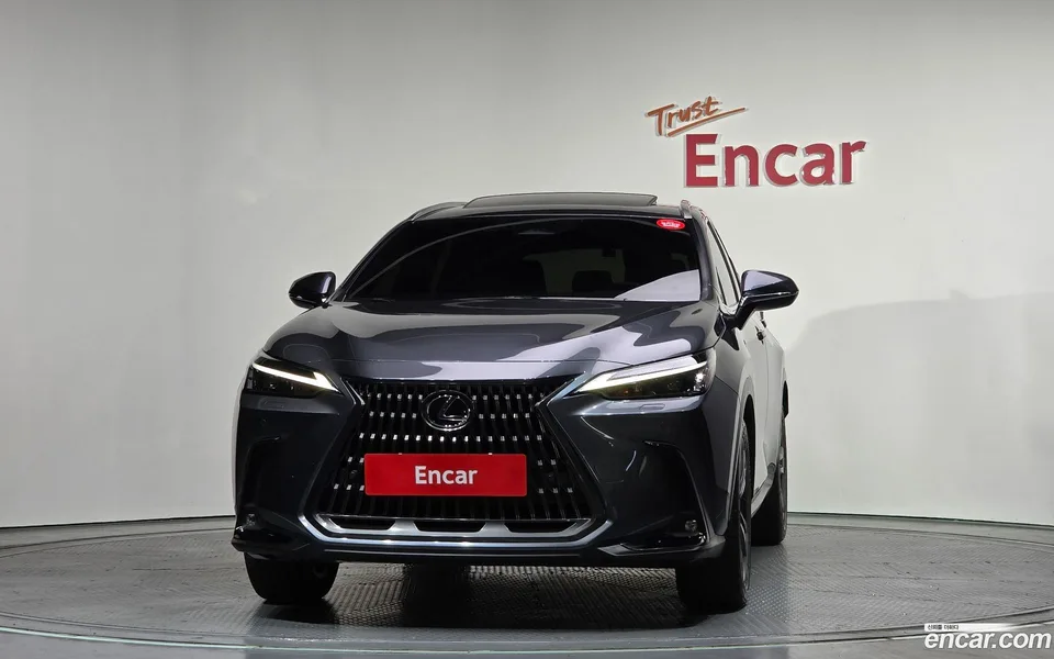 Lexus NX 350h 2024 — миниатюра 3