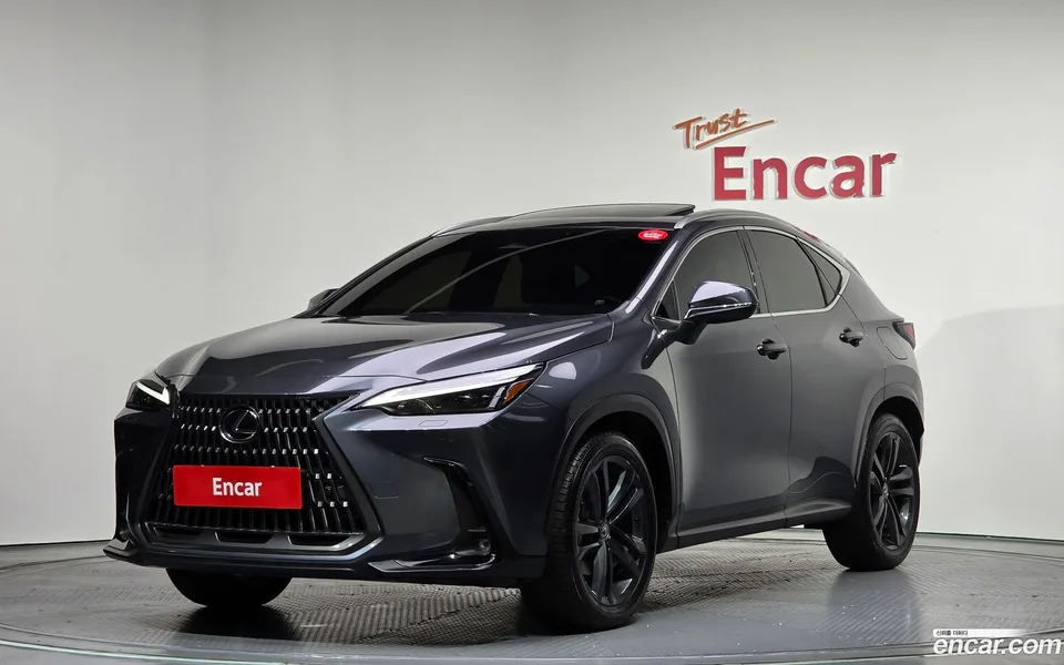 Lexus NX 350h 2024 — фото 1, купить с доставкой в Москву