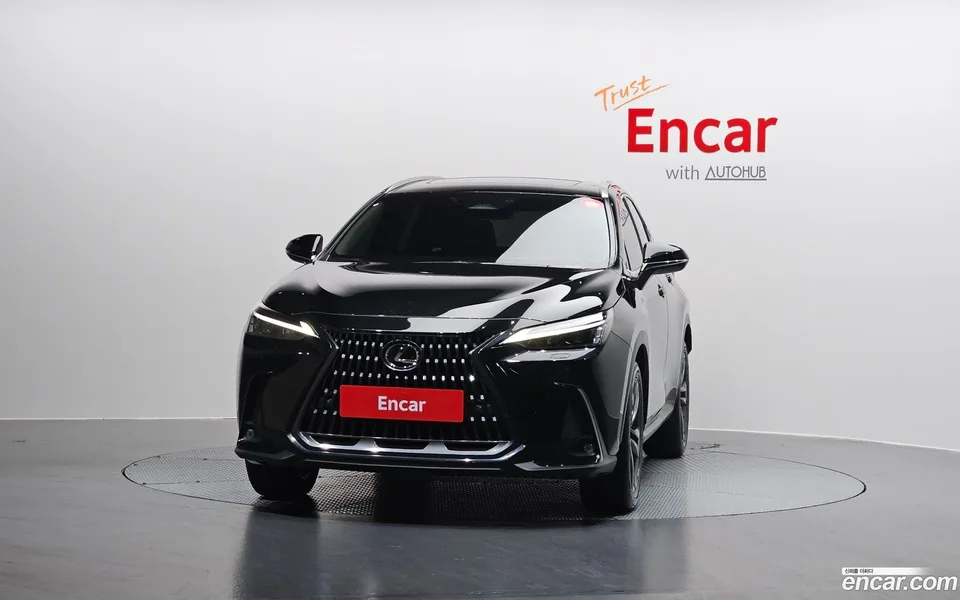 Lexus NX 350h 2024 — миниатюра 3