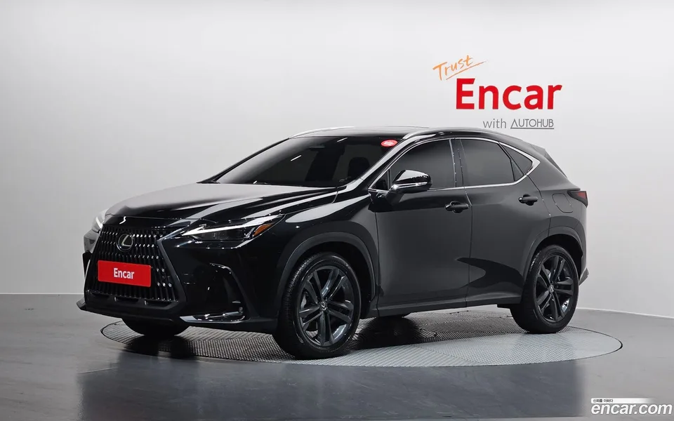 Lexus NX 350h 2024 — фото 1, купить с доставкой в Москву