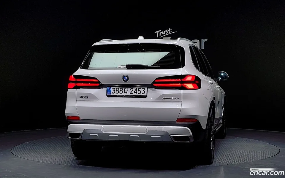 BMW X5 xDrive 30d xLine 2025 — миниатюра 4