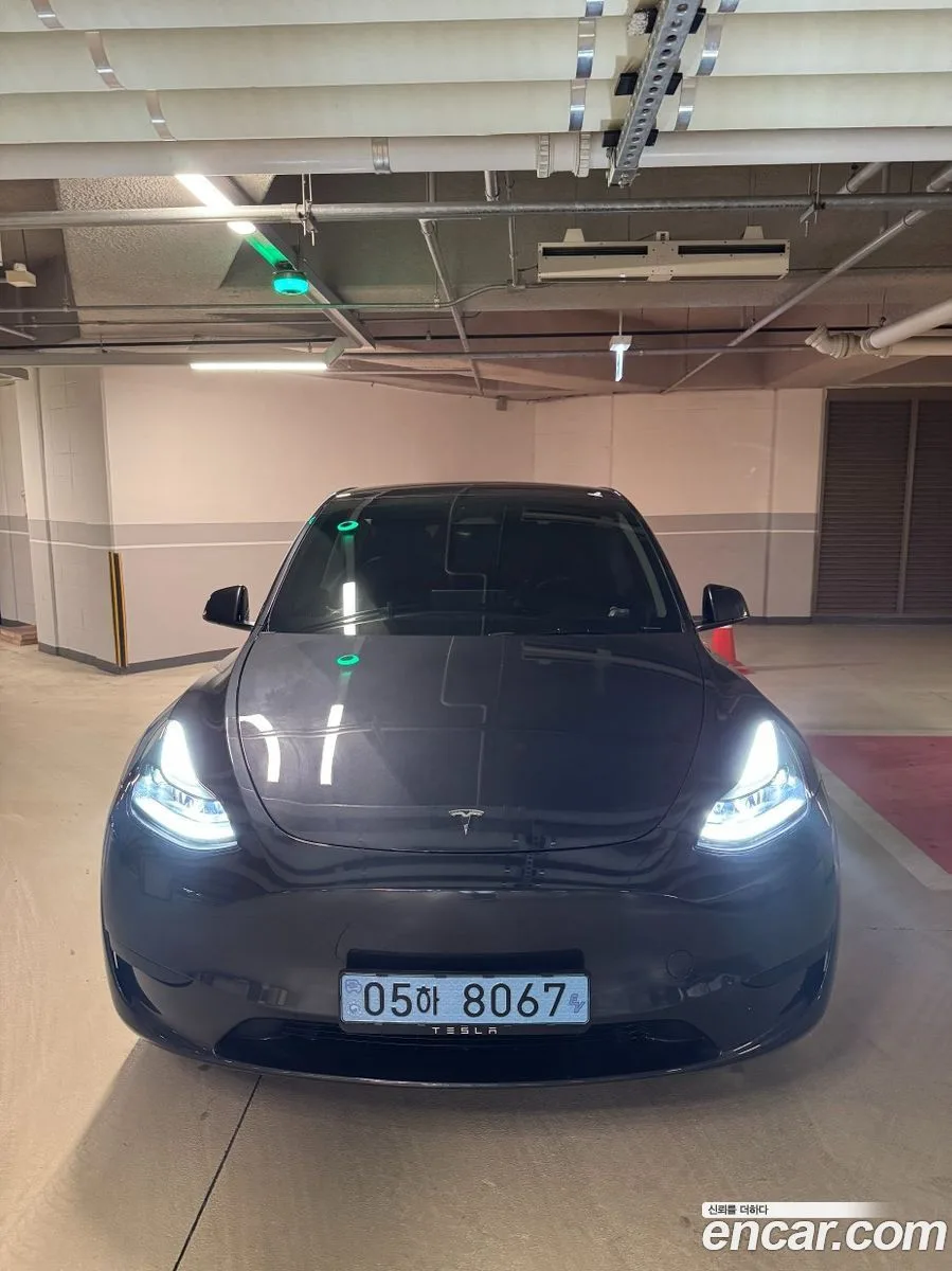 Tesla Model Y RWD 2025 — фото 1, купить с доставкой в Москву