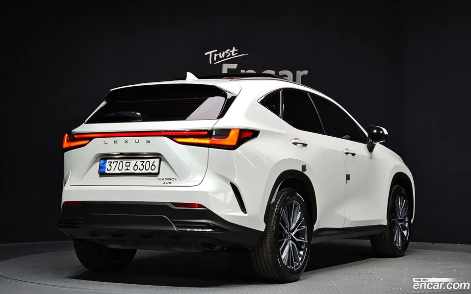 Lexus NX 350h 2024 — фото 1, купить с доставкой в Москву