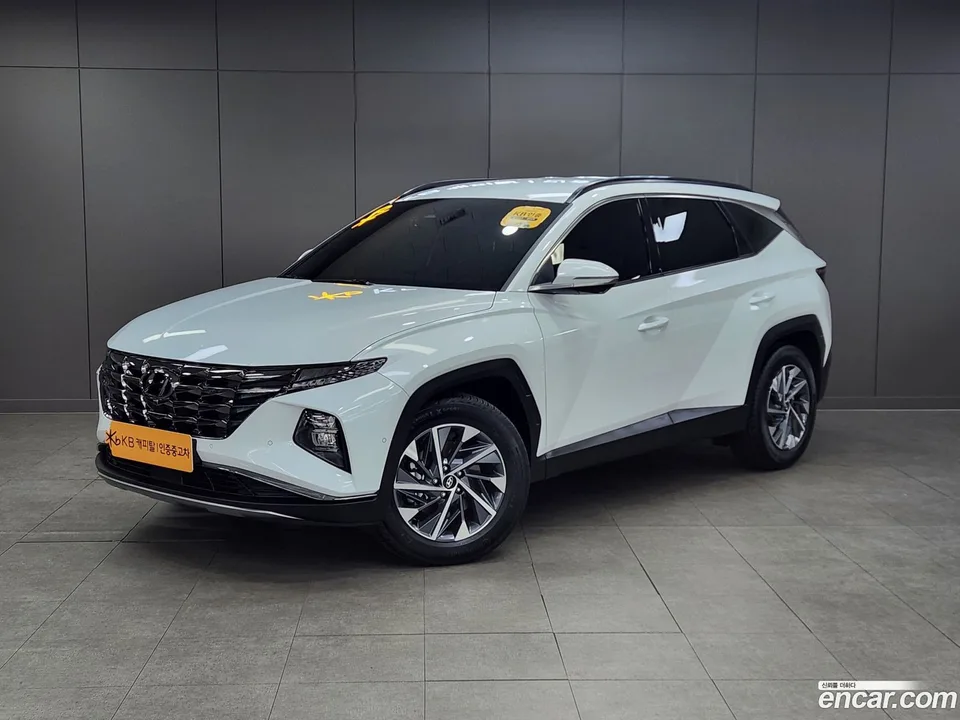 Hyundai Tucson Hybrid 2WD 2023 — фото 1, купить с доставкой в Москву