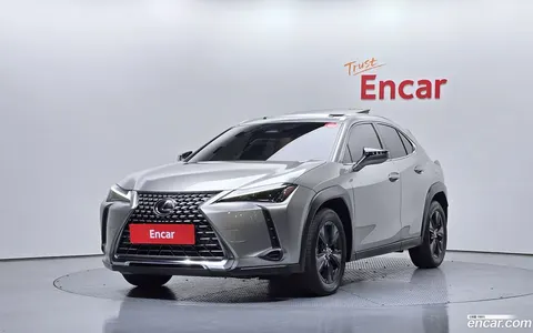 Lexus UX 300h 2024 buy in Moscow