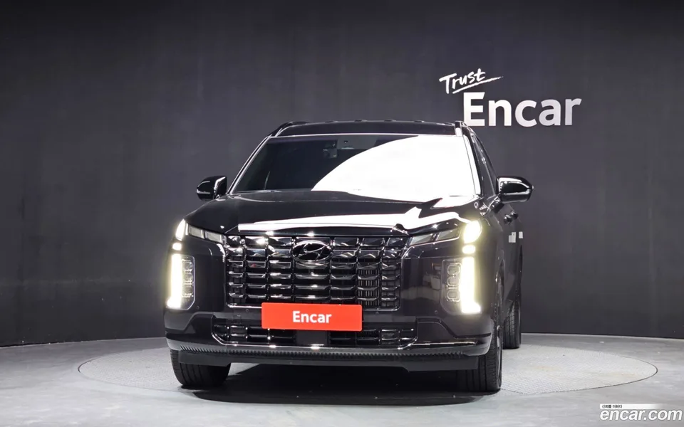 Hyundai Palisade 2.2 2WD 2024 — миниатюра 3