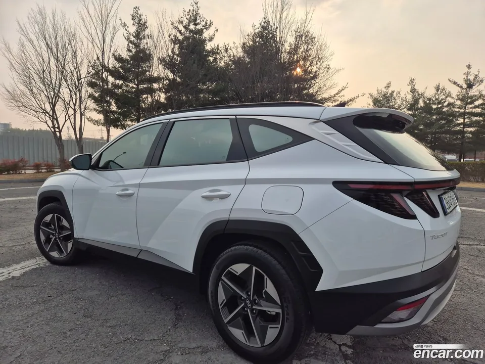 Hyundai Tucson Hybrid NX4 HEV 1.6 2WD 2025 — миниатюра 2