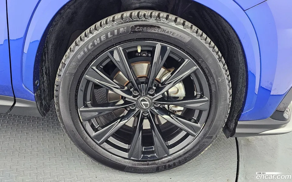 Lexus NX 450h+ F-Sport 2022 — миниатюра 5