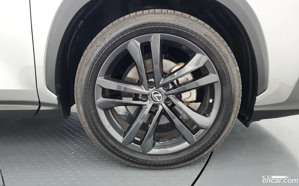 Lexus NX 350h 2023 — миниатюра 5