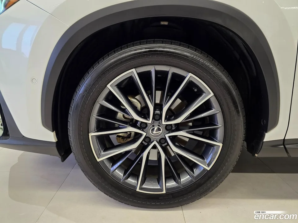 Lexus NX 350h 2023 — миниатюра 2