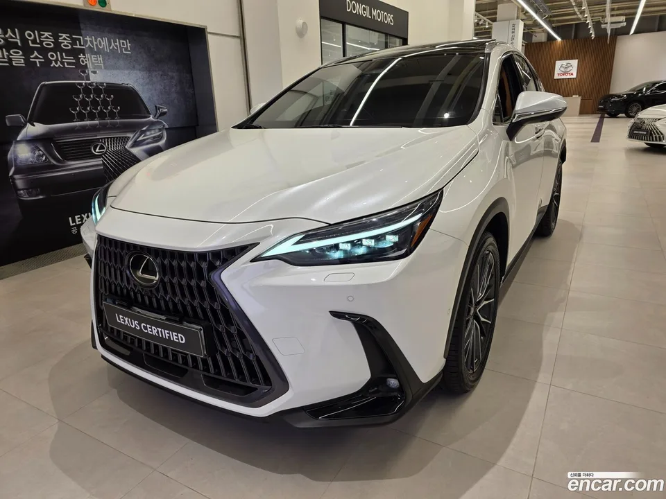 Lexus NX 350h 2023 — фото 1, купить с доставкой в Москву