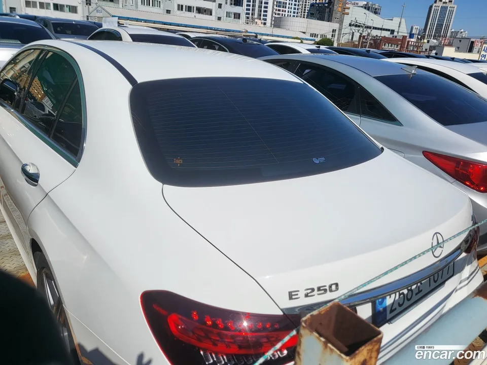Mercedes-Benz E-Class E250 AMG Line 2023 — миниатюра 4