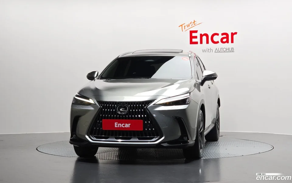 Lexus NX 350h 2024 — миниатюра 3
