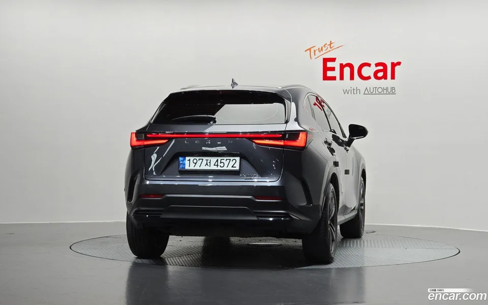 Lexus NX 350h 2022 — миниатюра 4