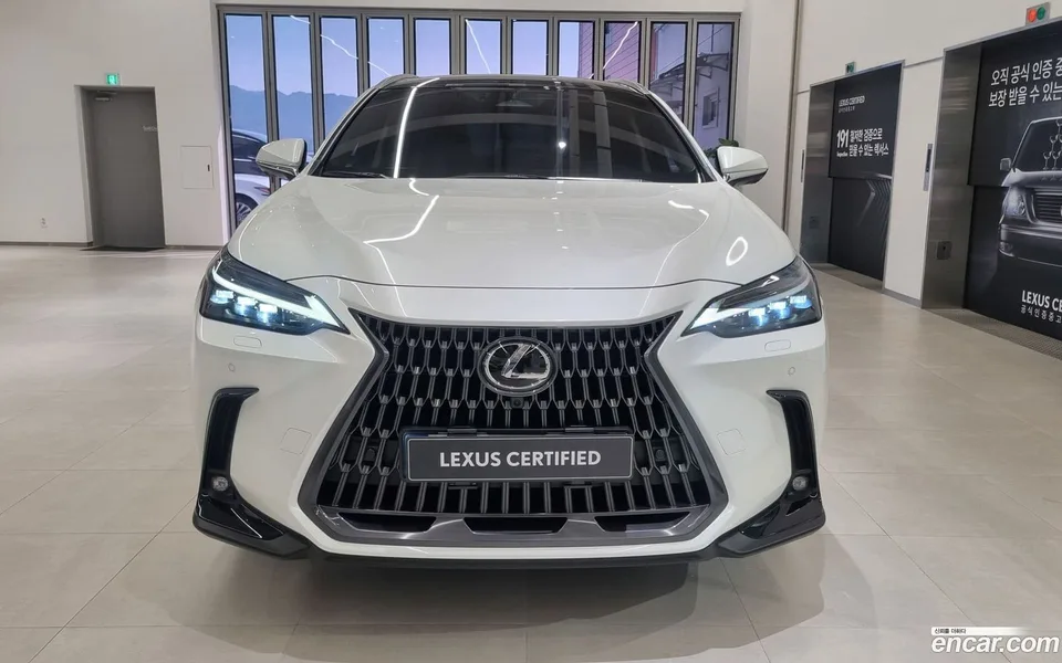 Lexus NX 350h 2025 — миниатюра 3