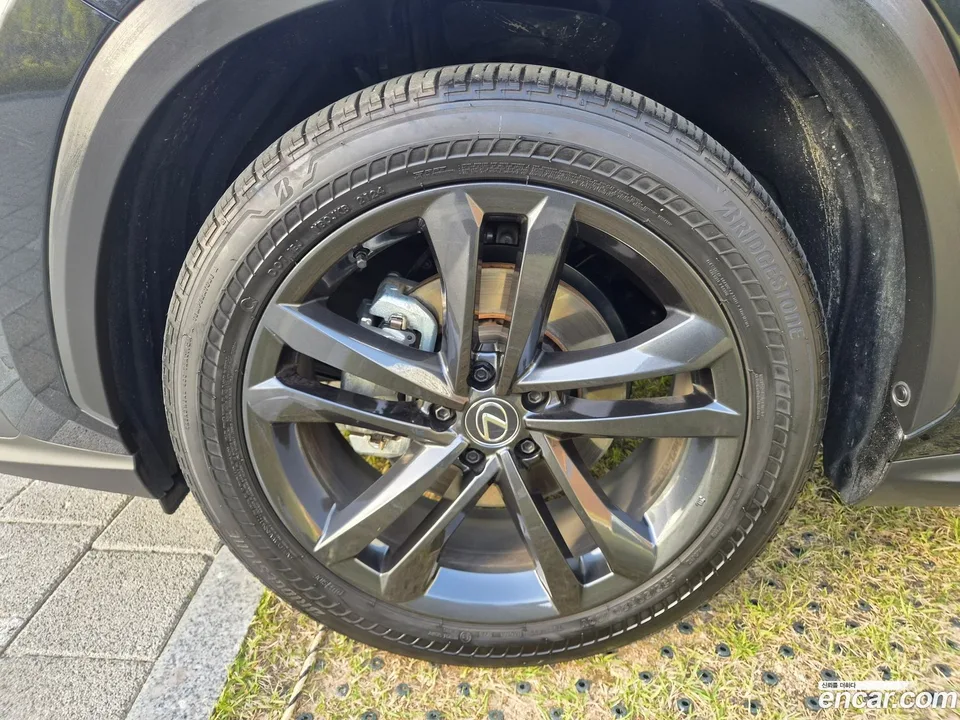 Lexus NX 350h 2024 — миниатюра 2