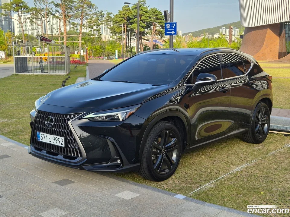 Lexus NX 350h 2024 — фото 1, купить с доставкой в Москву