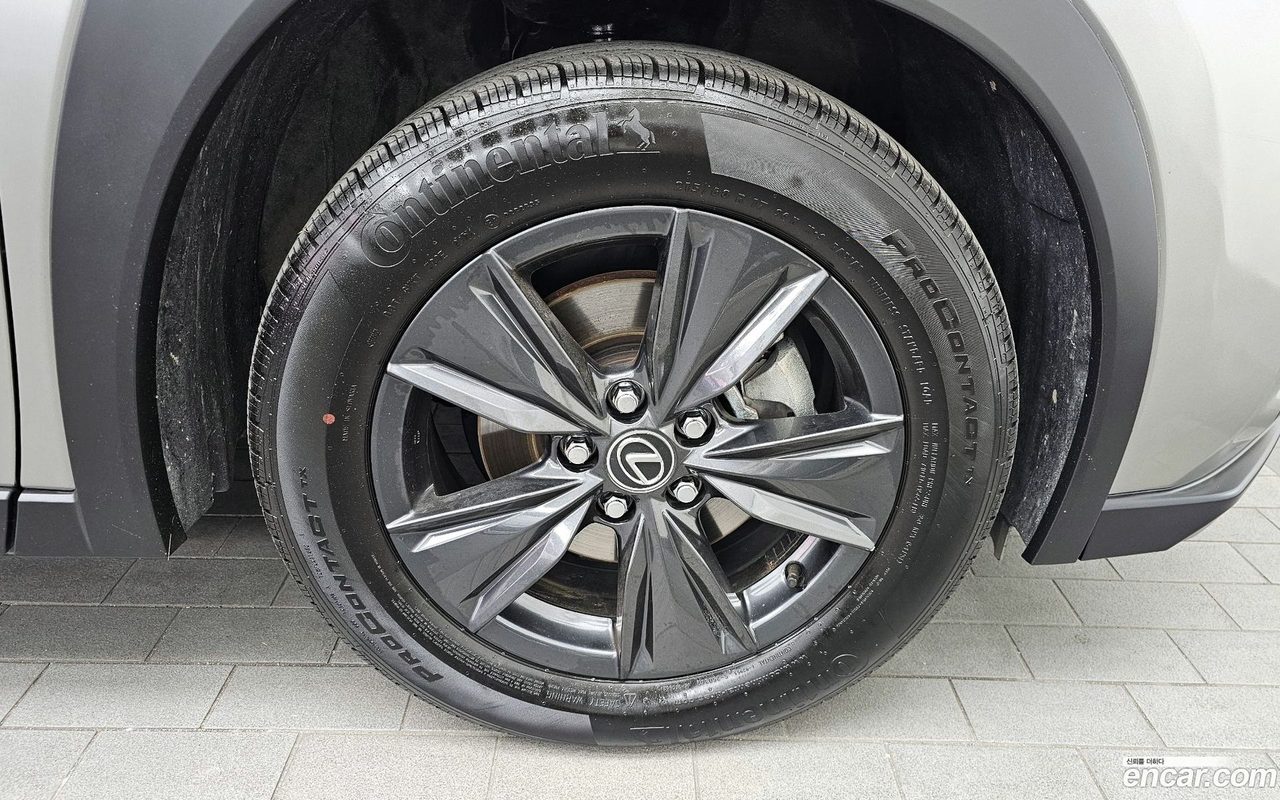 Lexus UX 300h 2025 — 2