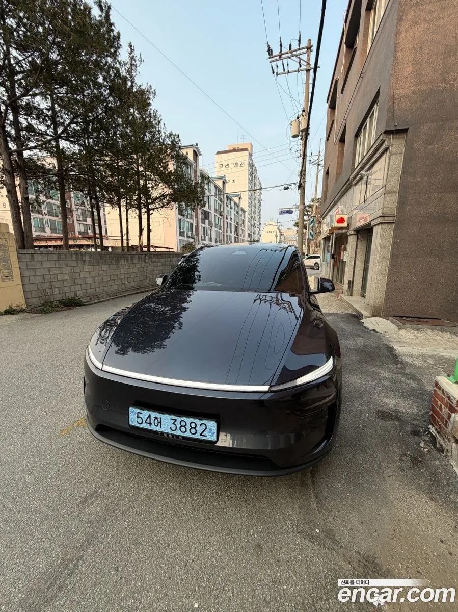 Tesla Model Y AWD 2025 — фото 1, купить с доставкой в Москву
