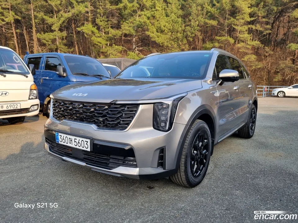 Kia Sorento HEV 1.6 2WD 2024 — фото 1, купить с доставкой в Москву