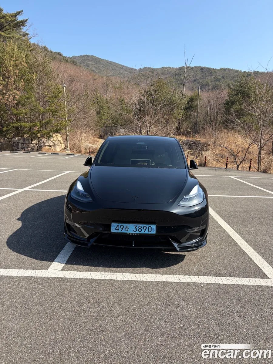 Tesla Model Y AWD 2024 — фото 1, купить с доставкой в Москву