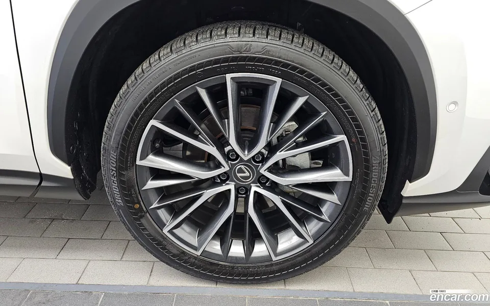 Lexus NX 350h 2024 — миниатюра 2