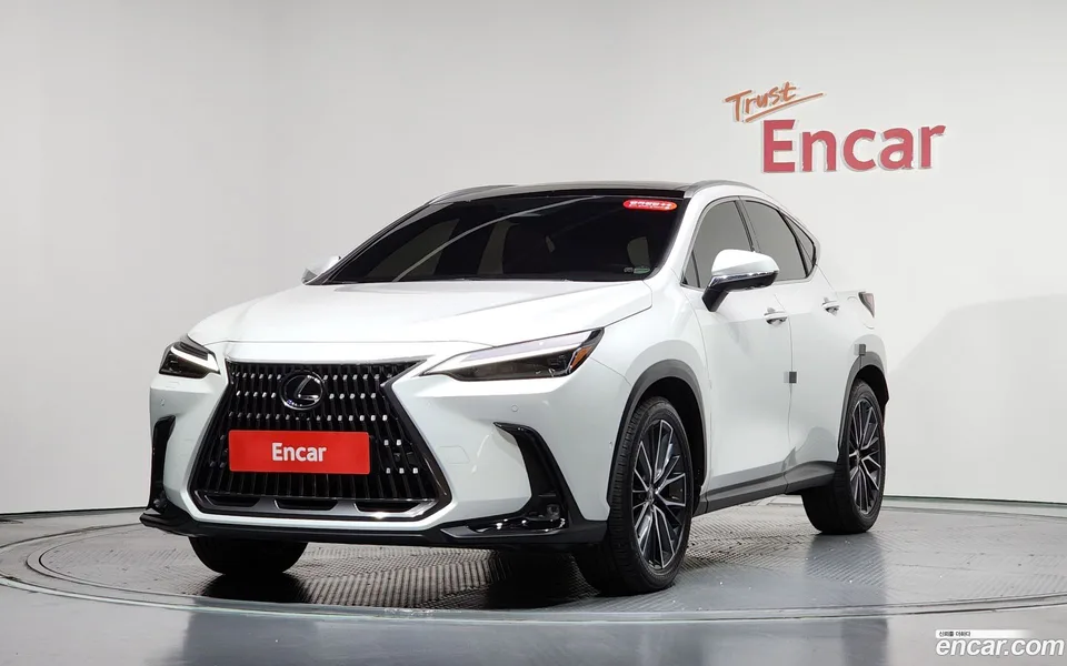 Lexus NX 350h 2024 — фото 1, купить с доставкой в Москву