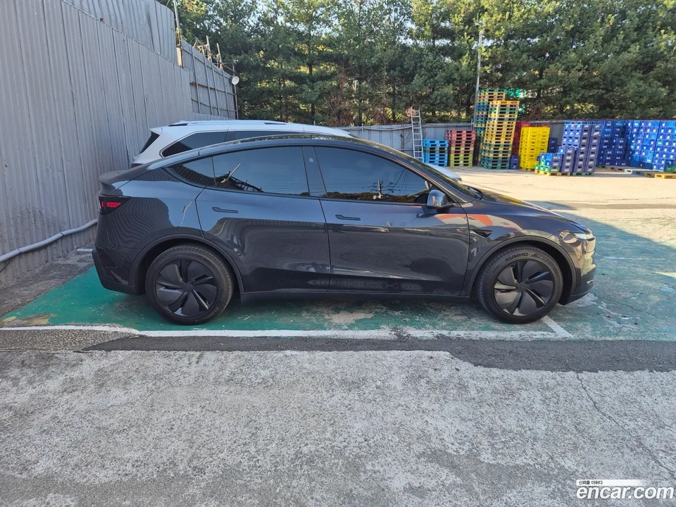 Tesla Model Y RWD 2025 — миниатюра 2