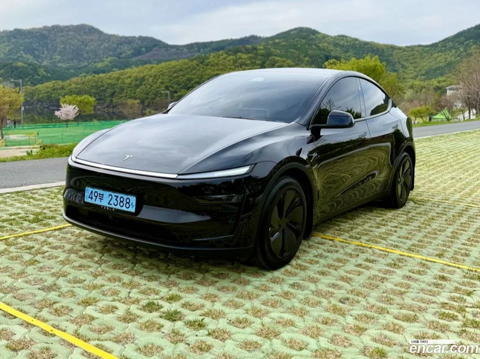 Tesla Model Y AWD 2025 — фото 1, купить с доставкой в Москву