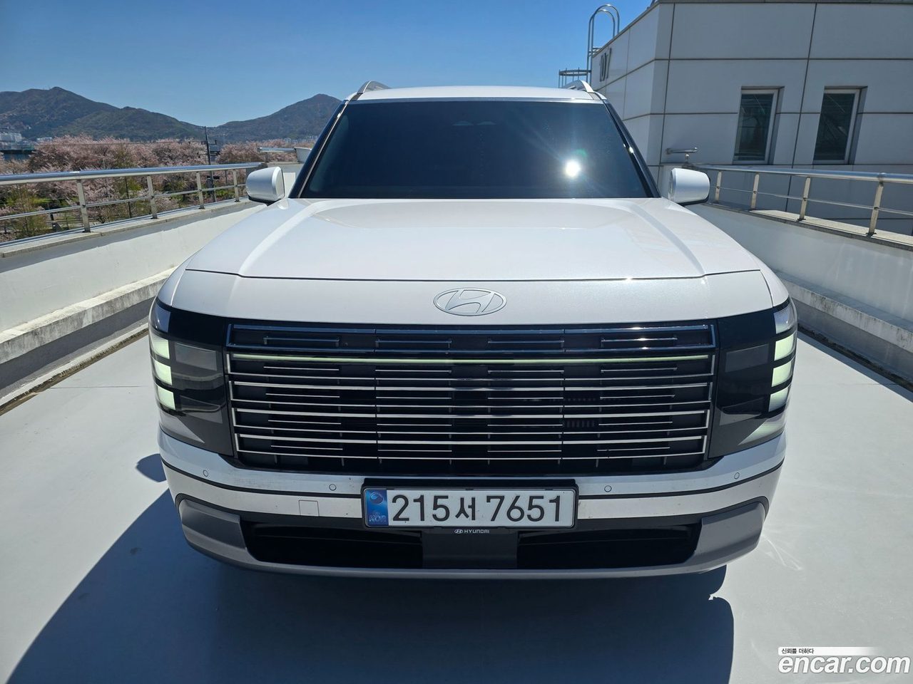 Hyundai Palisade 2025 — 3