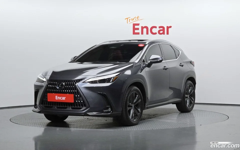 Lexus NX 350h 2024 — фото 1, купить с доставкой в Москву
