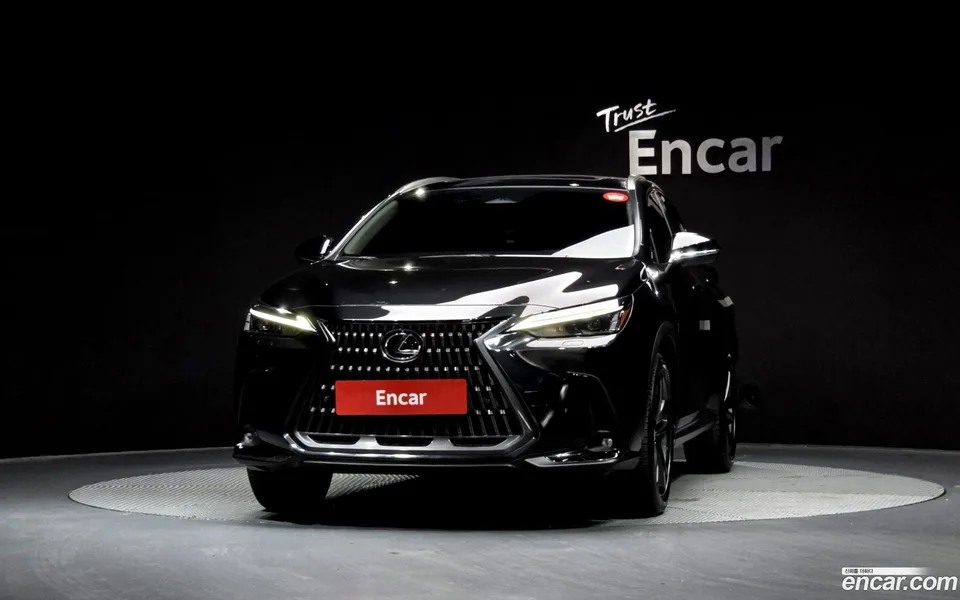 Lexus NX 350h 2024 — миниатюра 3