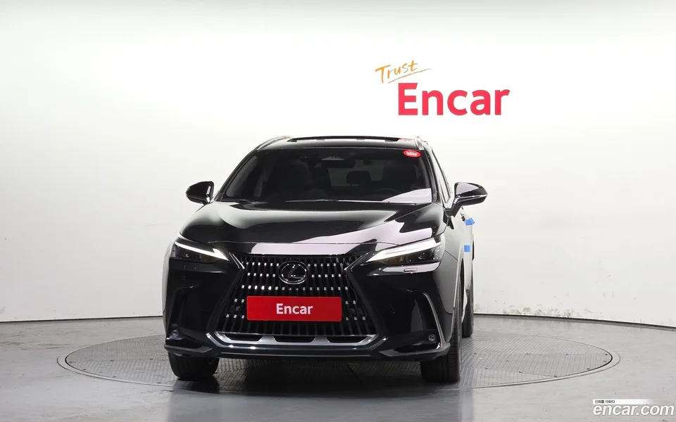 Lexus NX 350h 2023 — миниатюра 3