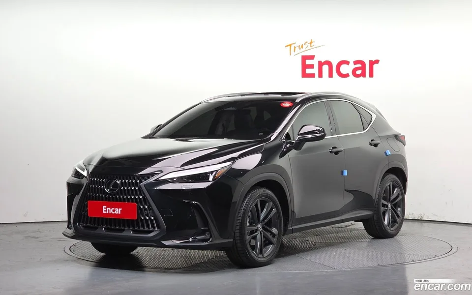 Lexus NX 350h 2023 — фото 1, купить с доставкой в Москву