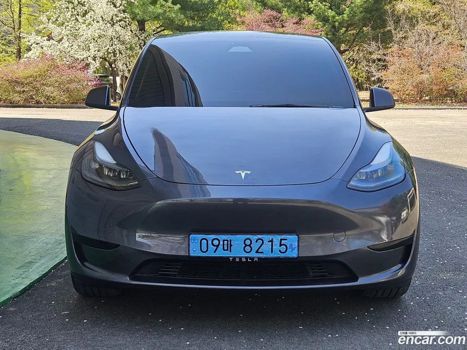 Tesla Model Y RWD 2025 — фото 1, купить с доставкой в Москву