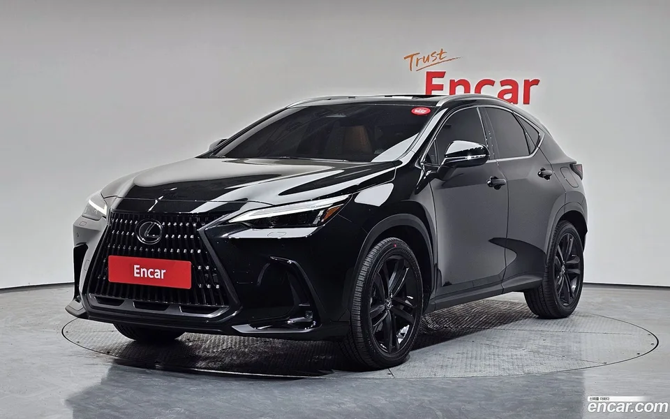 Lexus NX 350h 2023 — фото 1, купить с доставкой в Москву