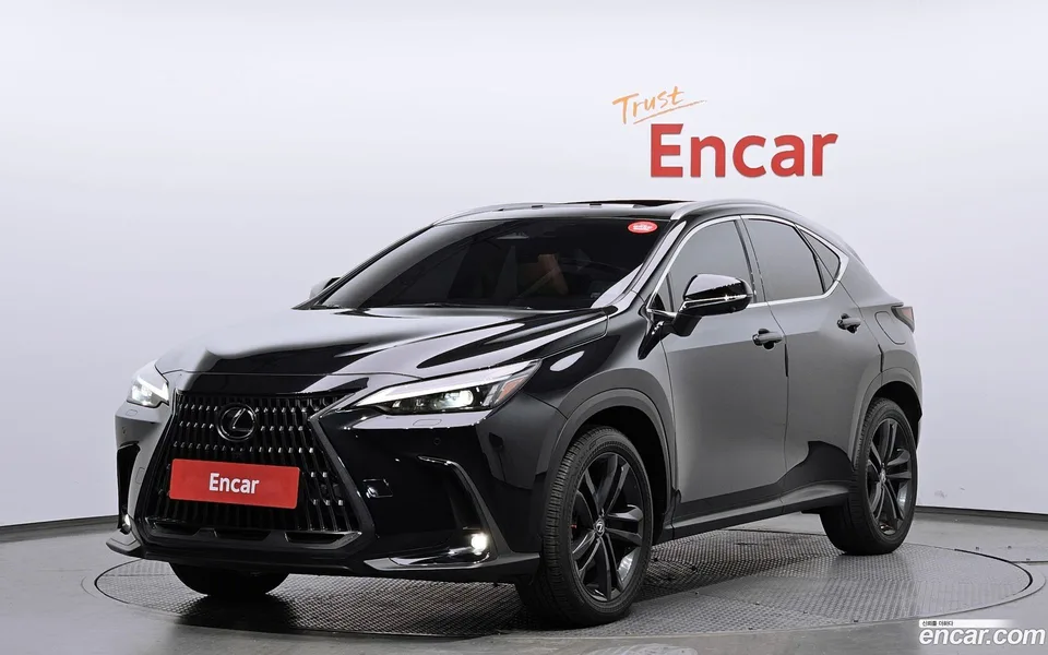 Lexus NX 350h 2023 — фото 1, купить с доставкой в Москву