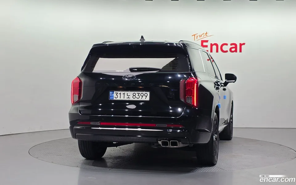 Hyundai Palisade 3.8 4WD 2024 — миниатюра 4