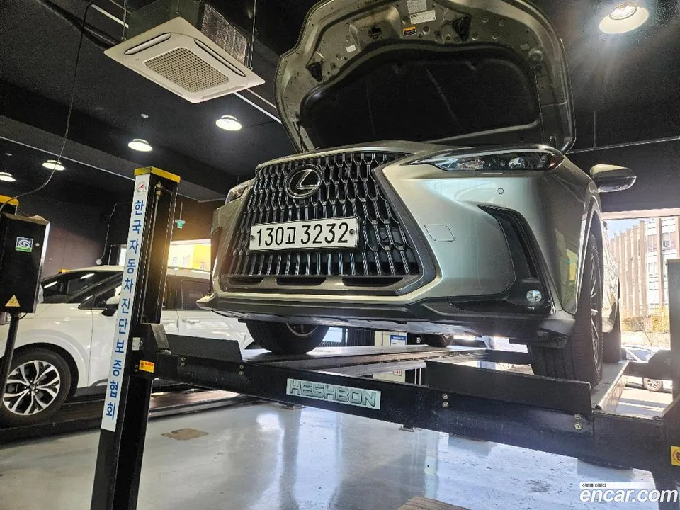 Lexus NX 450h+ 2023 — фото 1, купить с доставкой в Москву