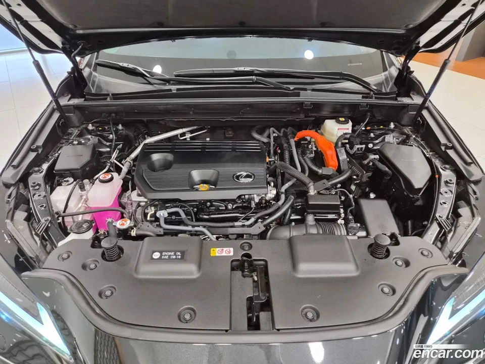 Lexus NX 350h 2025 — миниатюра 2
